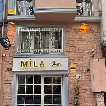 Hotel Mila Taksim Istanbulská provincie